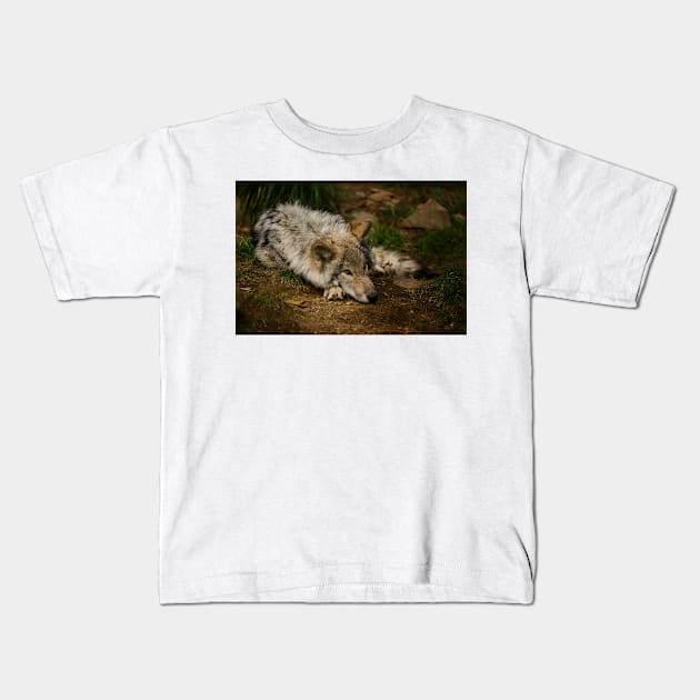 Timber Wolf Pup Kids T-Shirt by jaydee1400